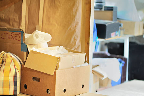 Best Carpet Removal and Disposal  in Pigeon, MI